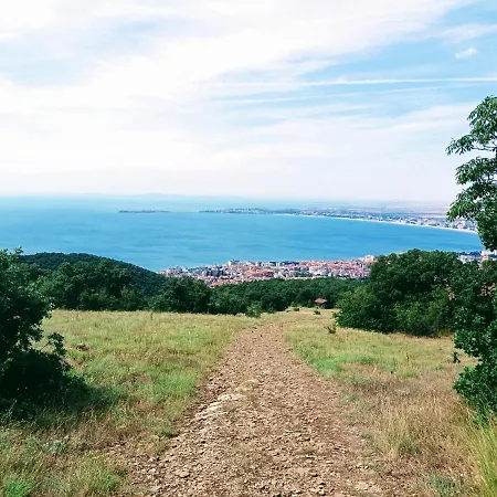 Seaview Butterfly * Slăntjev Brjag